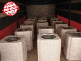 11293292_10204337679825348_1335925515_o2