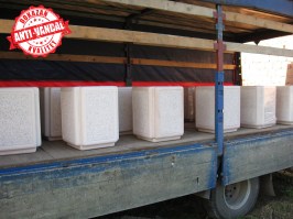 11347689_10204337679785347_1657559017_o2